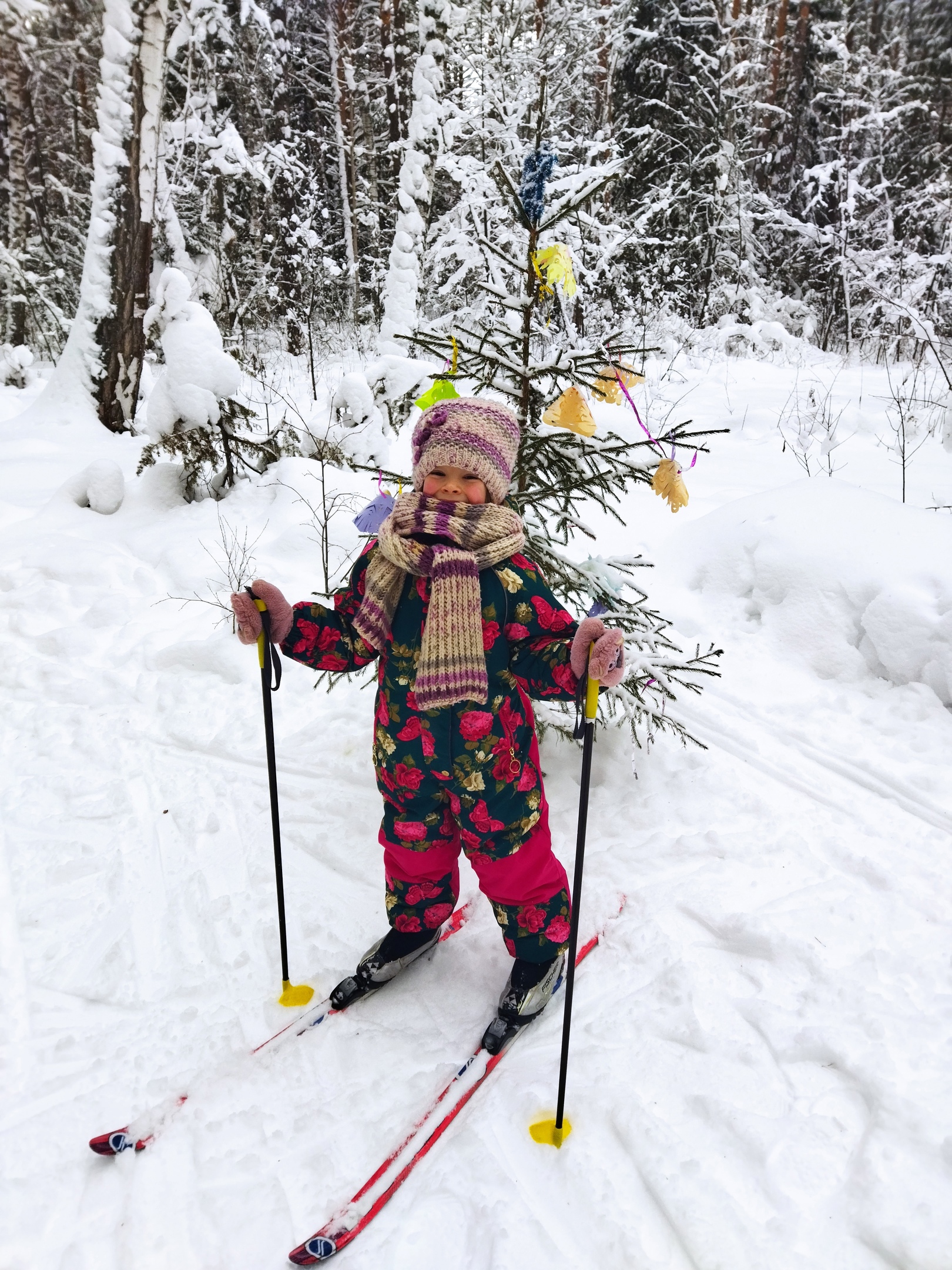 Кочергина Арина Андреевна